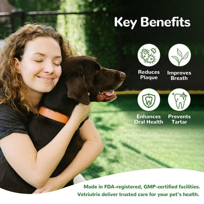 Nuvori Dental Health Powder for Dogs - Chicken Flavor